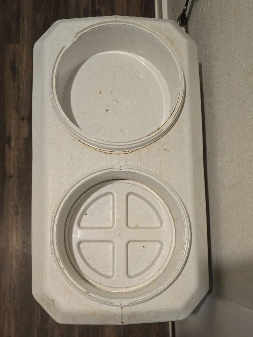 Durable Dual Dog Feeder Bowl in Off-White